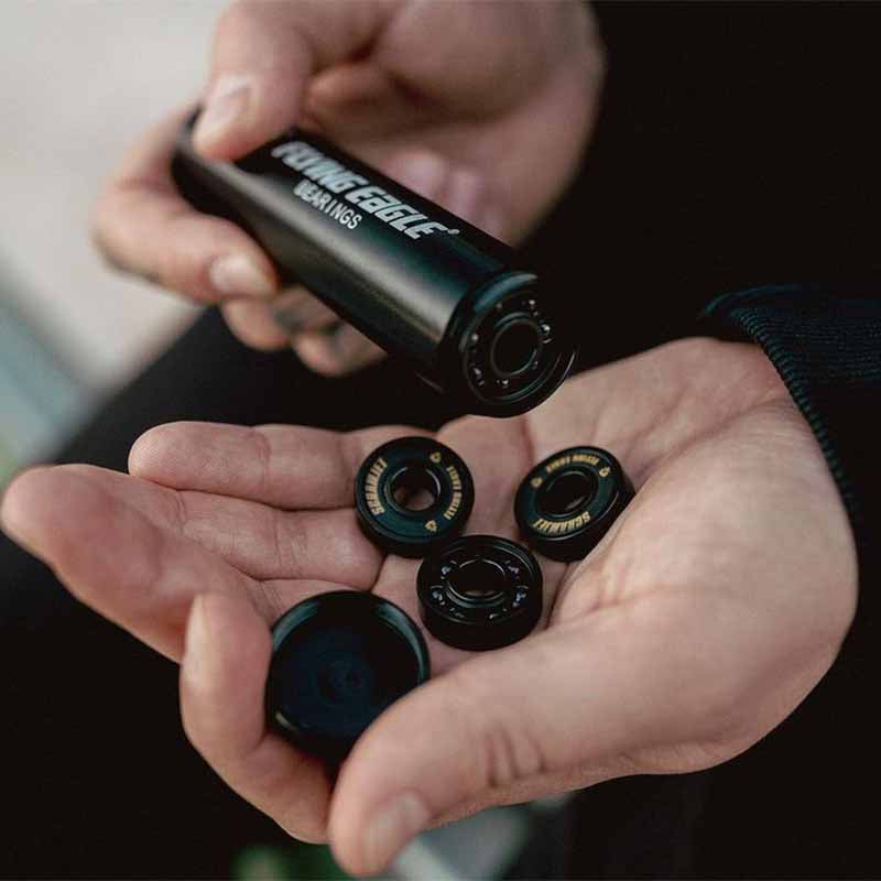 Flying Eagle Scramjet Ceramic Bearings