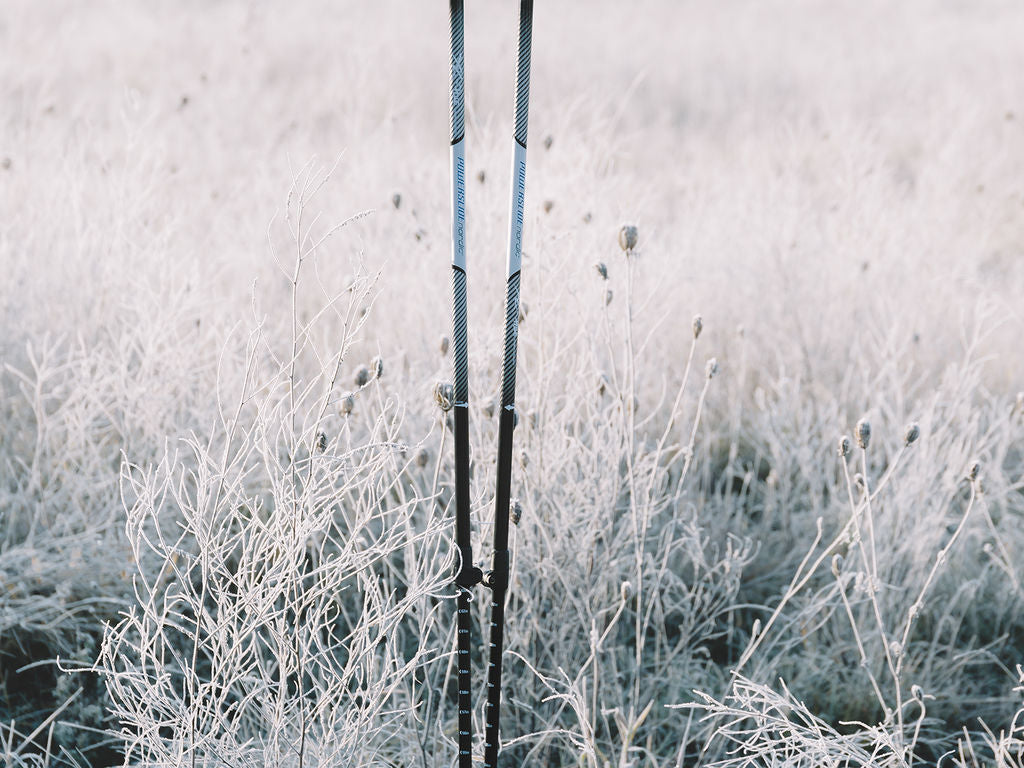 Powerslide adj. Nordic Carbon Poles - Inlinex