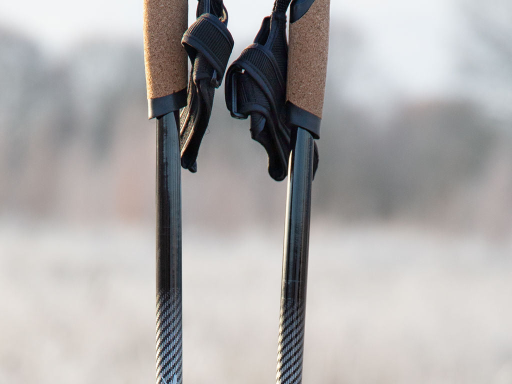 Powerslide adj. Nordic Carbon Poles - Inlinex