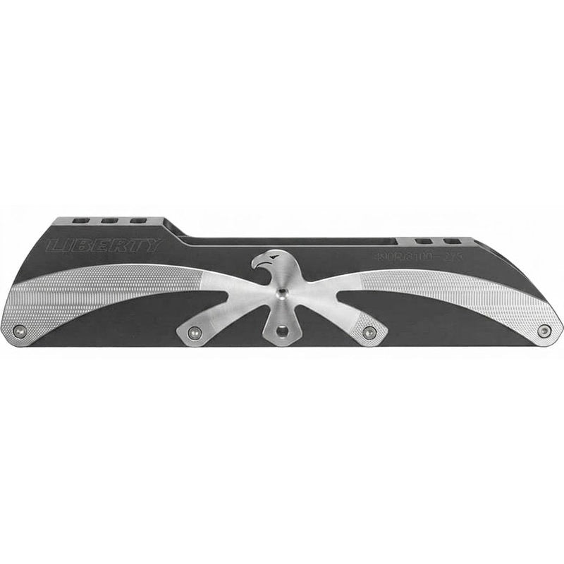 Cuadro Flying Eagle Liberty 4100R