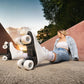 Playlife Classic White adj. Roller Skate - Inlinex
