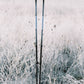 Powerslide adj. Nordic Carbon Poles - Inlinex