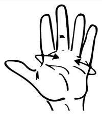 Rollerblade Race Glove — measure hand circumference across the knuckles